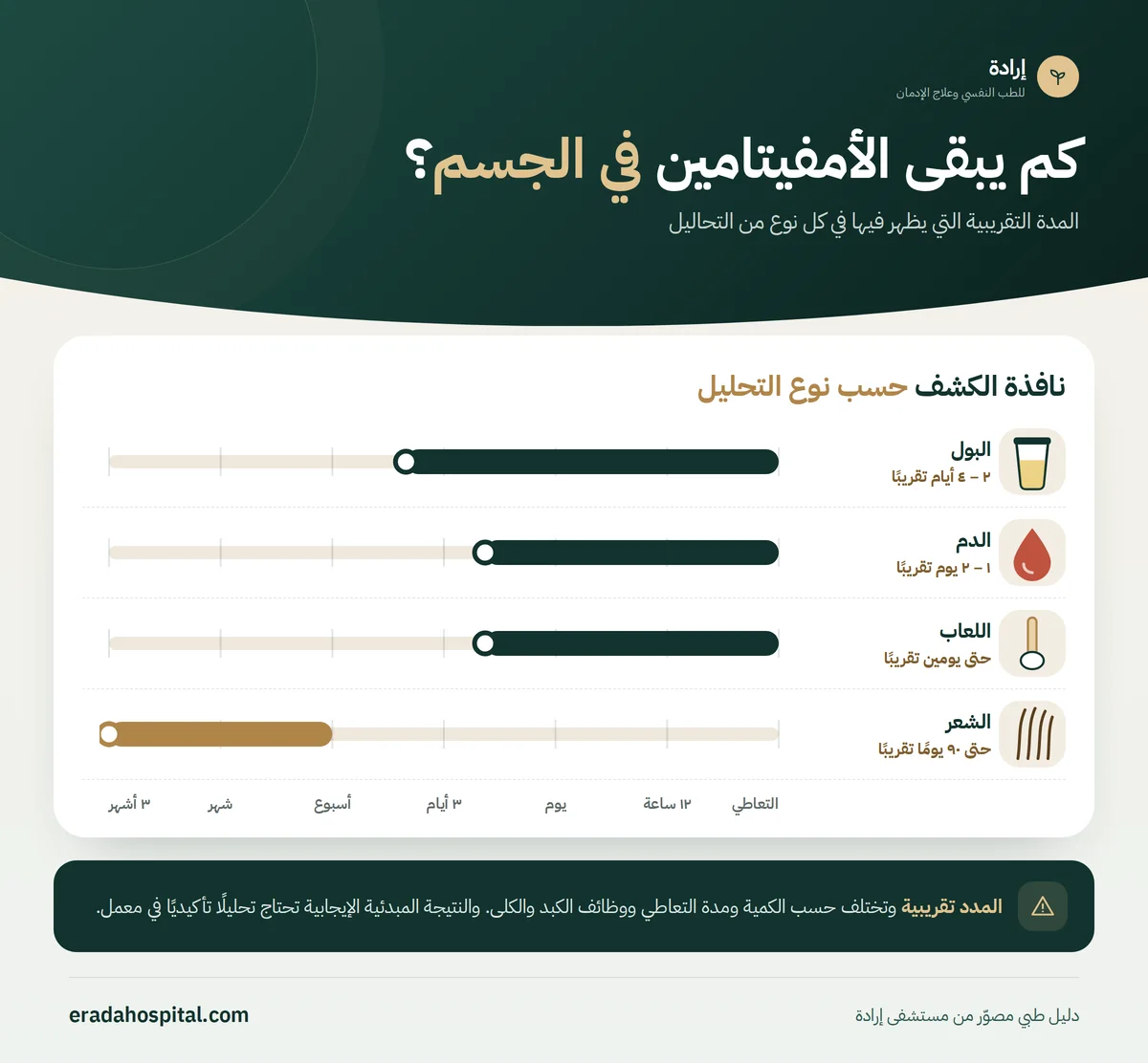 إنفوجرافيك مدة بقاء الأمفيتامين في الجسم حسب نوع التحليل: البول ٢ – ٤ أيام تقريبًا، الدم ١ – ٢ يوم تقريبًا، اللعاب حتى يومين تقريبًا، الشعر حتى ٩٠ يومًا تقريبًا