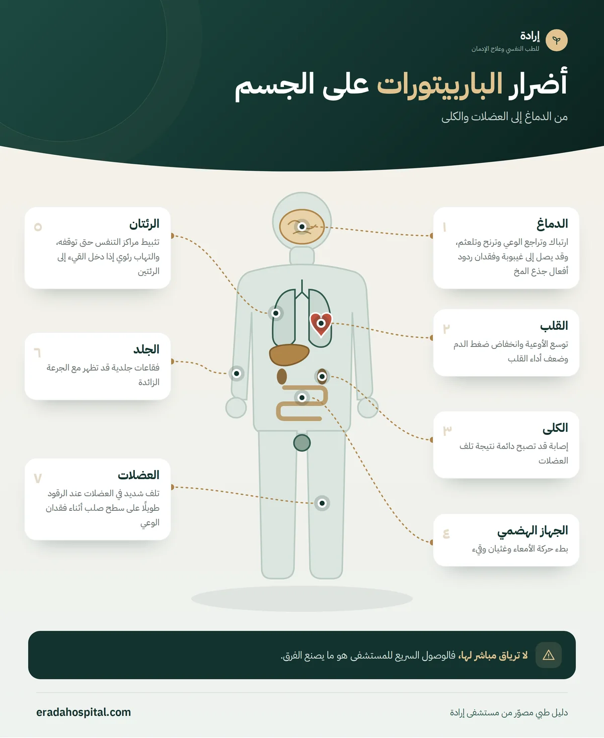 إنفوجرافيك أضرار الباربيتورات على الجسم: الدماغ، الرئتان، القلب، الجهاز الهضمي، العضلات، الكلى، الجلد