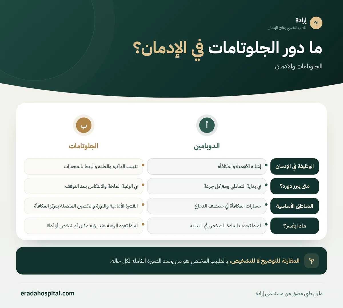 إنفوجرافيك مقارنة الدوبامين والجلوتامات في 4 جوانب: الوظيفة في الإدمان، متى يبرز دوره؟، المناطق الأساسية، ماذا يفسر؟