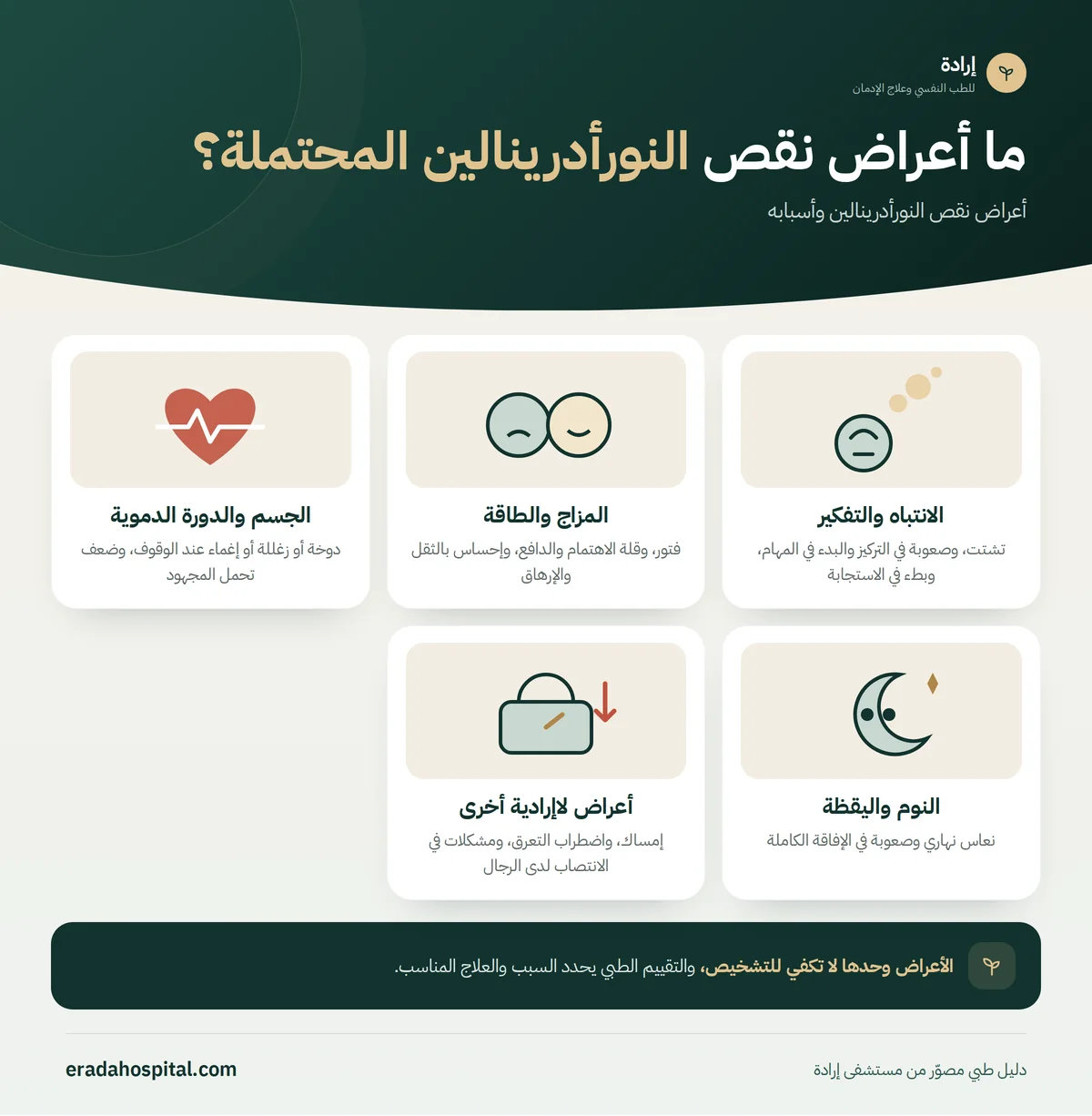 إنفوجرافيك ما أعراض نقص النورأدرينالين المحتملة؟ (الانتباه والتفكير، المزاج والطاقة، الجسم والدورة الدموية، النوم واليقظة، أعراض لاإرادية أخرى)