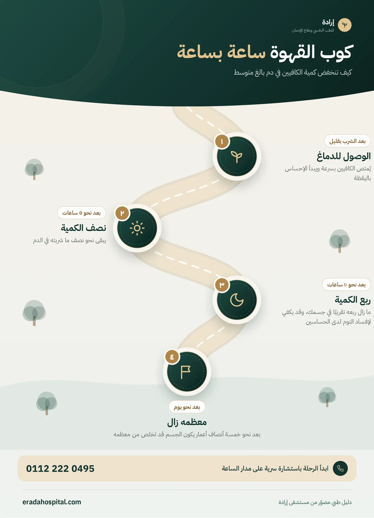 إنفوجرافيك كوب القهوة ساعة بساعة: الوصول للدماغ، ثم نصف الكمية، ثم ربع الكمية، ثم معظمه زال