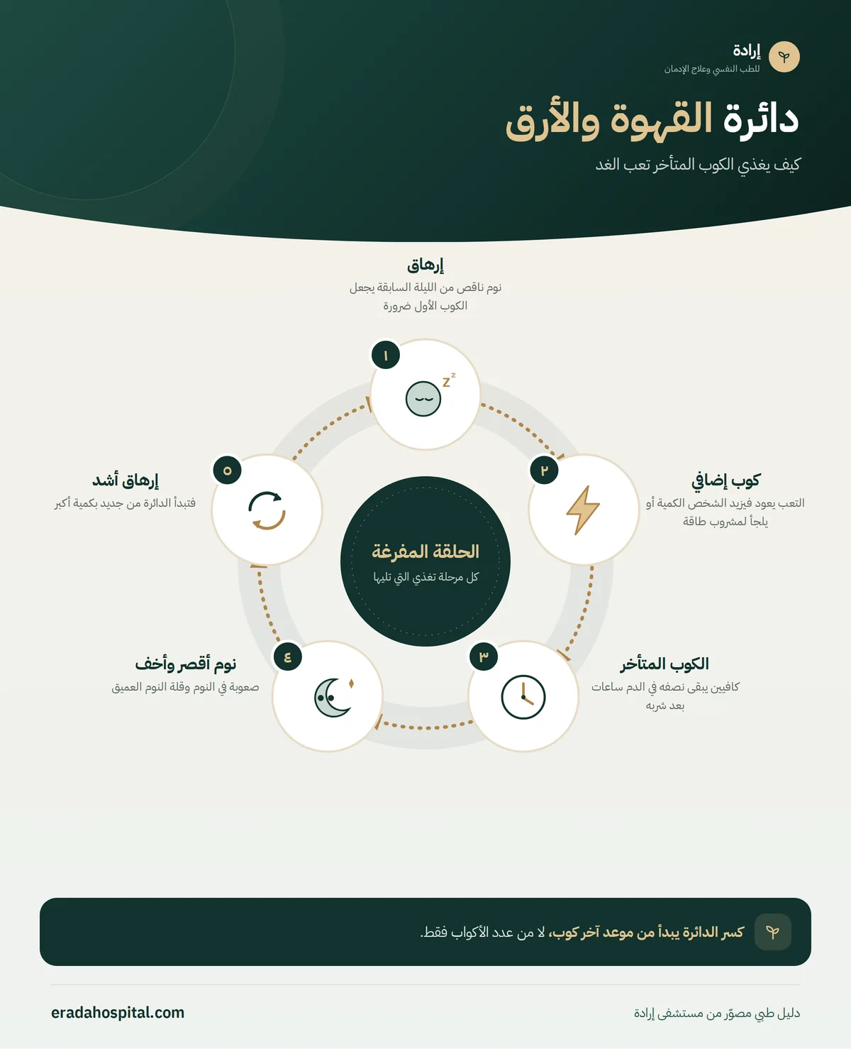 إنفوجرافيك دائرة القهوة والأرق: إرهاق ← كوب إضافي ← الكوب المتأخر ← نوم أقصر وأخف ← إرهاق أشد