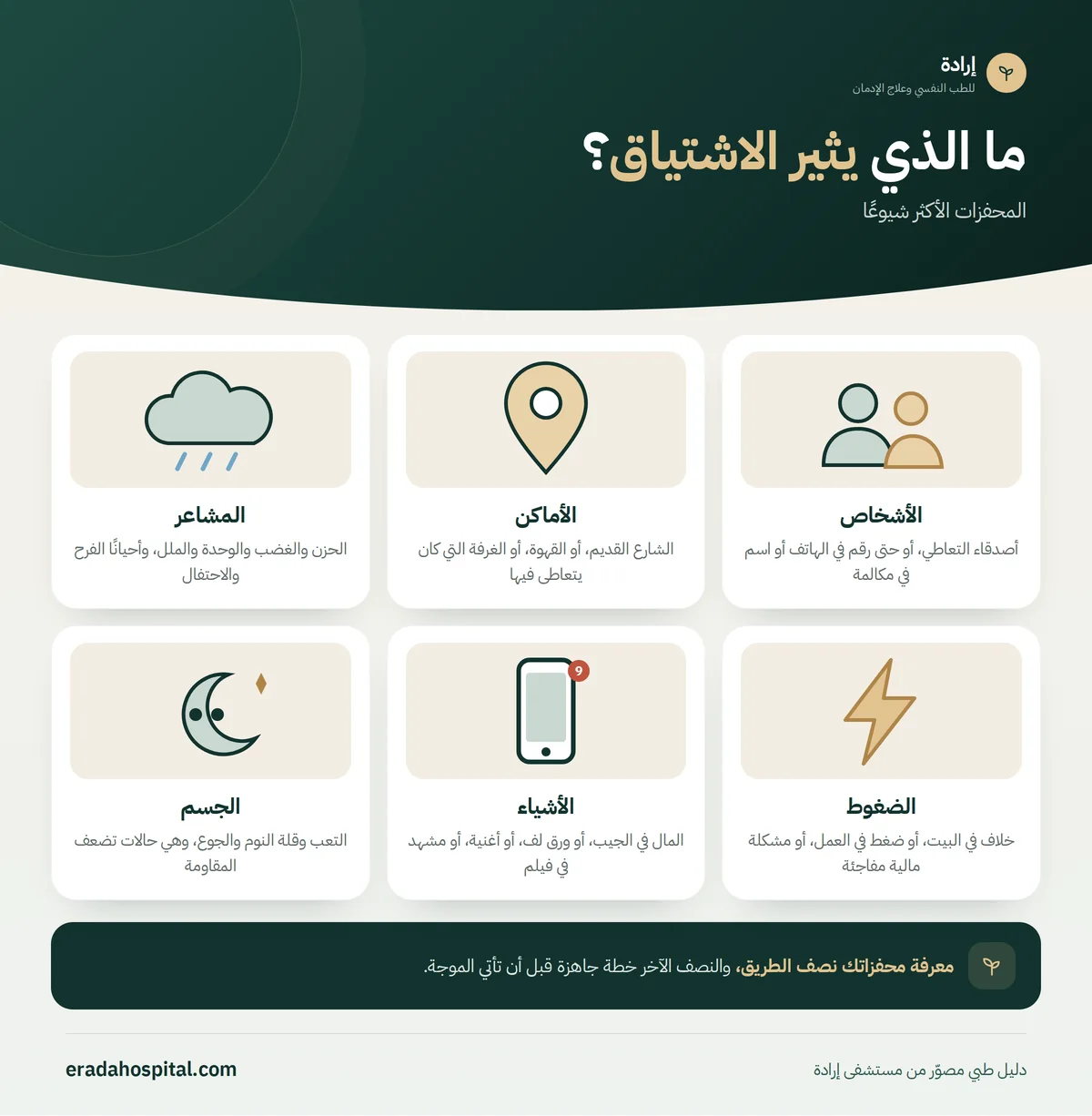 إنفوجرافيك ما الذي يثير الاشتياق؟: الأشخاص، الأماكن، المشاعر، الضغوط، الأشياء، الجسم