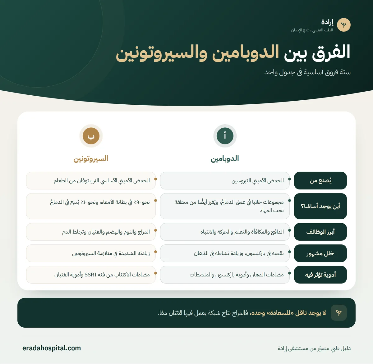 إنفوجرافيك الفرق بين الدوبامين والسيروتونين: يُصنع من، أين يوجد أساسًا؟، أبرز الوظائف، خلل مشهور، أدوية تؤثر فيه