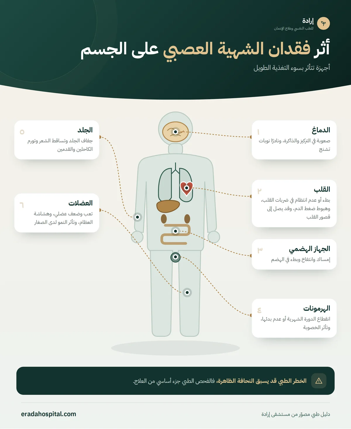 إنفوجرافيك أثر فقدان الشهية العصبي على الجسم: القلب، العضلات، الهرمونات، الدماغ، الجهاز الهضمي، الجلد