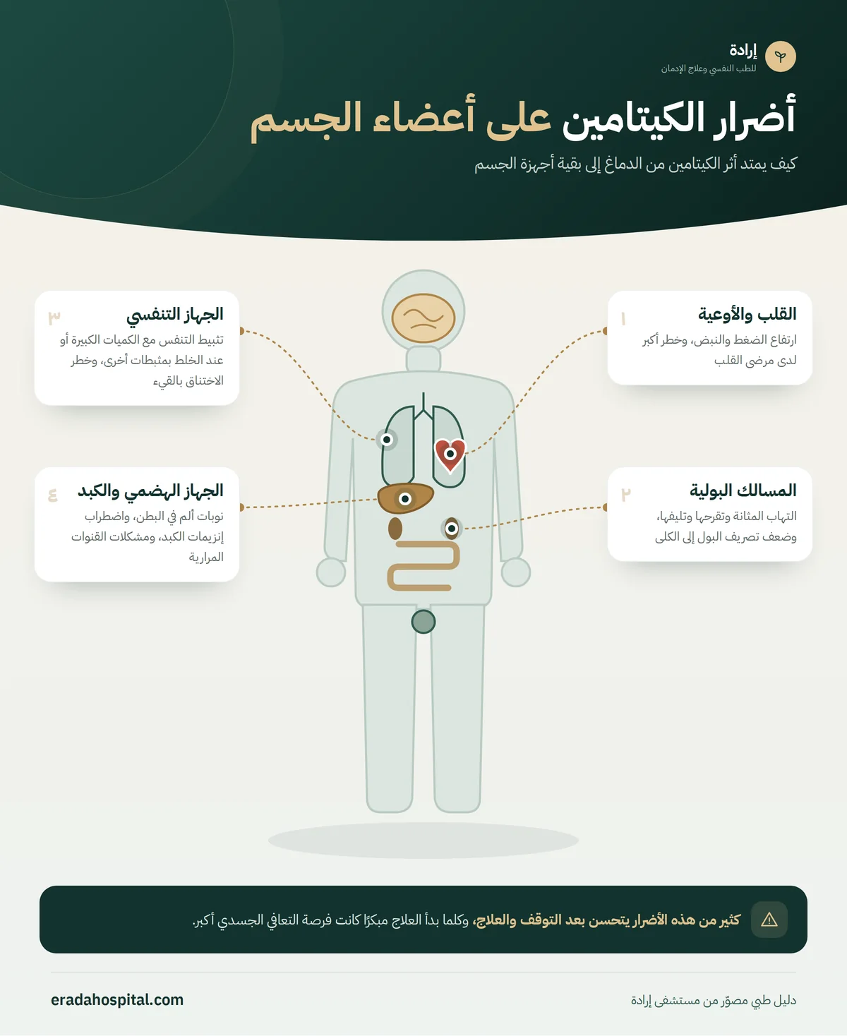 إنفوجرافيك خريطة جسم الإنسان يوضح أضرار الكيتامين على أعضاء الجسم: المسالك البولية، الجهاز الهضمي والكبد، القلب والأوعية، الجهاز التنفسي