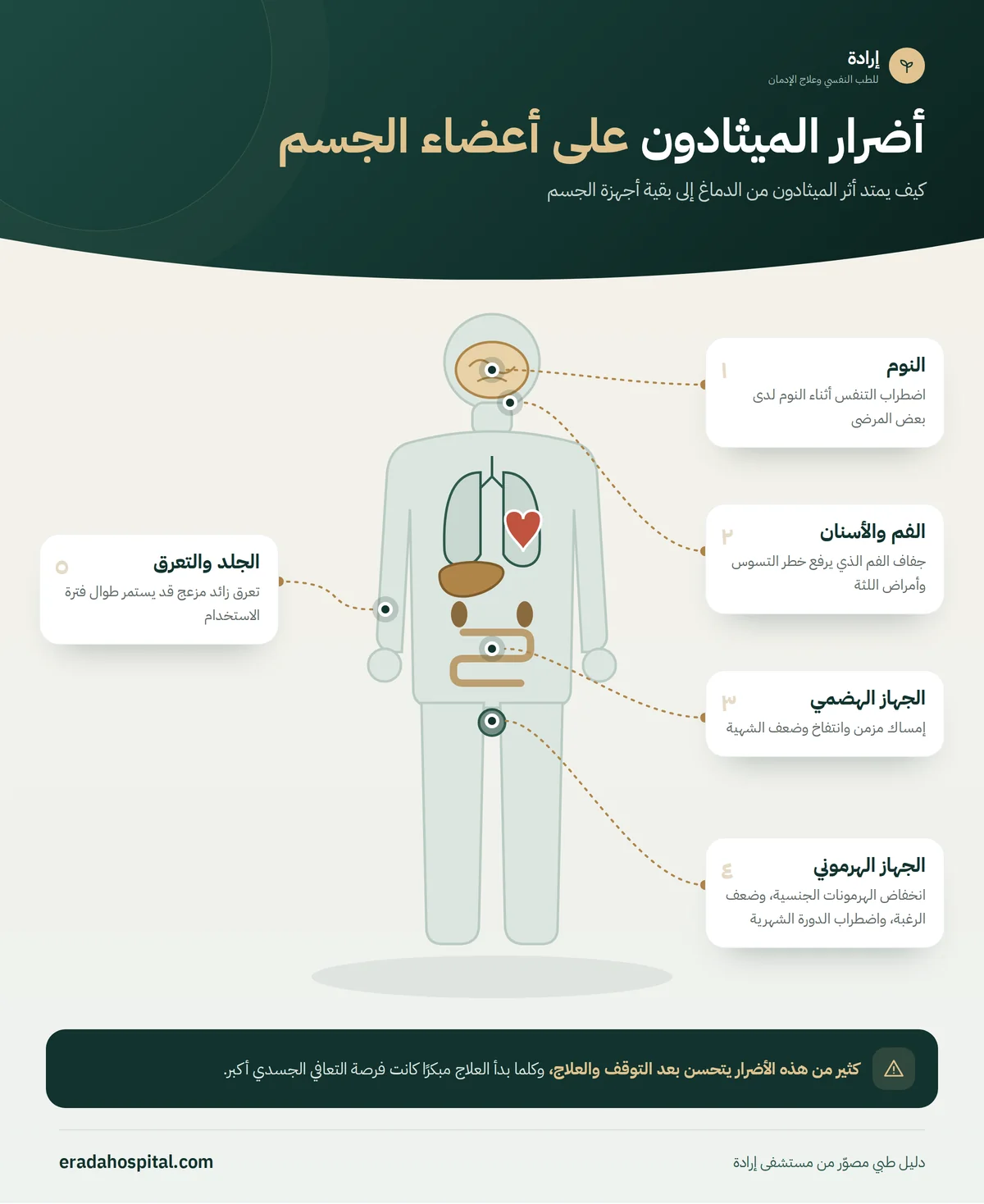 إنفوجرافيك خريطة جسم الإنسان يوضح أضرار الميثادون على أعضاء الجسم: الجهاز الهضمي، الجهاز الهرموني، الجلد والتعرق، الفم والأسنان، النوم