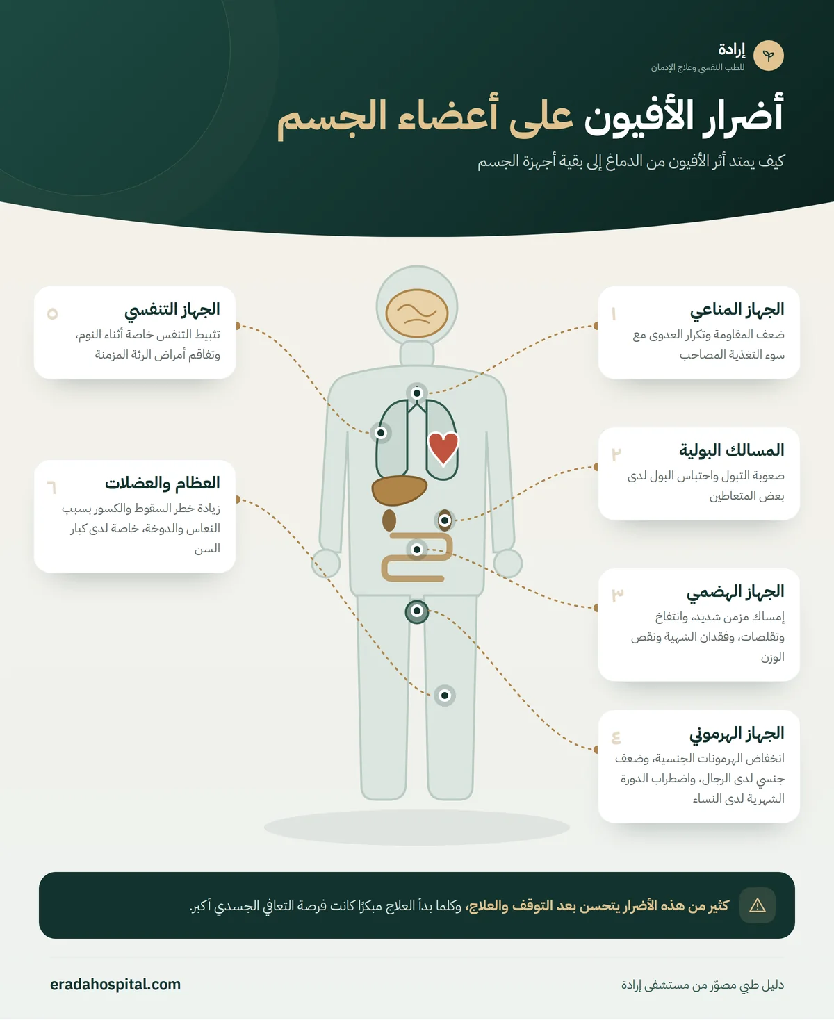 إنفوجرافيك خريطة جسم الإنسان يوضح أضرار الأفيون على أعضاء الجسم: الجهاز التنفسي، الجهاز الهضمي، الجهاز الهرموني، الجهاز المناعي، العظام والعضلات، المسالك البولية