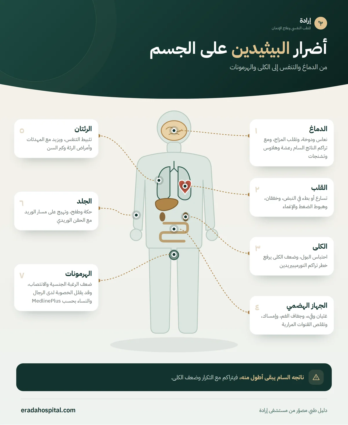 إنفوجرافيك أضرار البيثيدين على الجسم: الدماغ، الرئتان، القلب، الجهاز الهضمي، الكلى، الهرمونات، الجلد