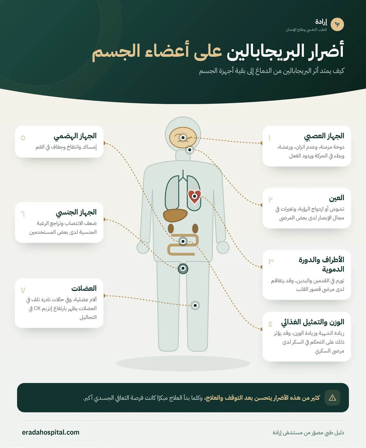 إنفوجرافيك خريطة جسم الإنسان يوضح أضرار البريجابالين على أعضاء الجسم: الجهاز العصبي، الوزن والتمثيل الغذائي، الأطراف والدورة الدموية، العين، العضلات، الجهاز الجنسي، الجهاز الهضمي