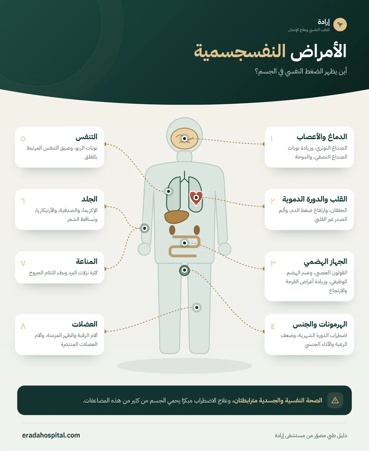 إنفوجرافيك خريطة الجسم للأمراض النفسجسمية: الجهاز الهضمي، الدماغ والأعصاب، القلب والدورة الدموية، الجلد، العضلات، التنفس، المناعة، الهرمونات والجنس