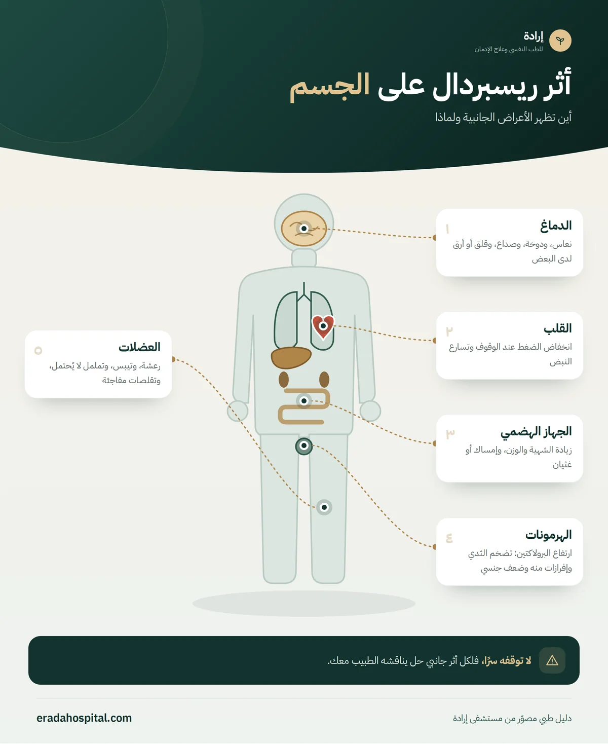 إنفوجرافيك أثر ريسبردال على الجسم: الدماغ، العضلات، الهرمونات، القلب، الجهاز الهضمي