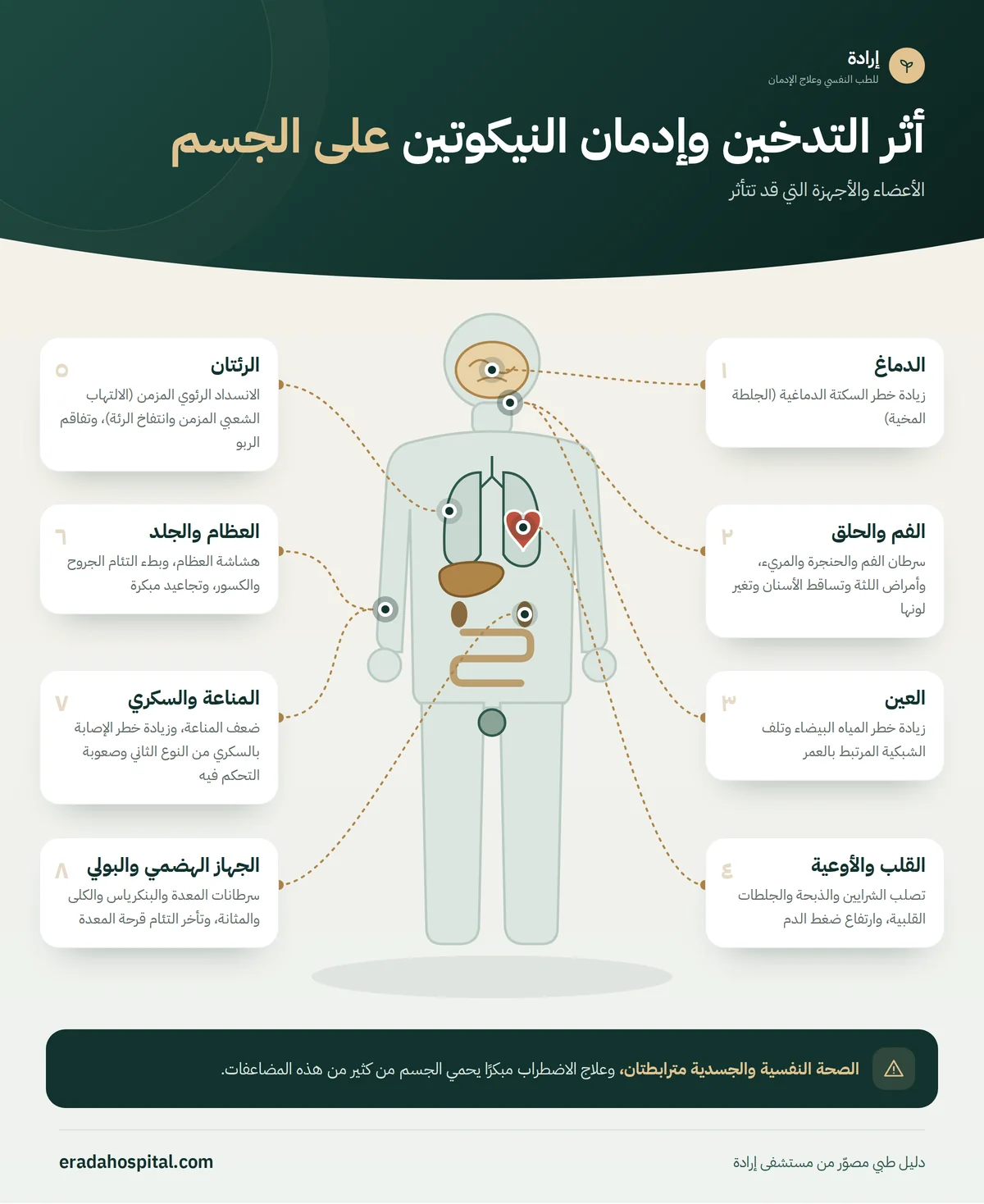 إنفوجرافيك خريطة الجسم توضح أثر التدخين وإدمان النيكوتين على: القلب والأوعية، الدماغ، الرئتان، الفم والحلق، الجهاز الهضمي والبولي، العظام والجلد، العين، المناعة والسكري