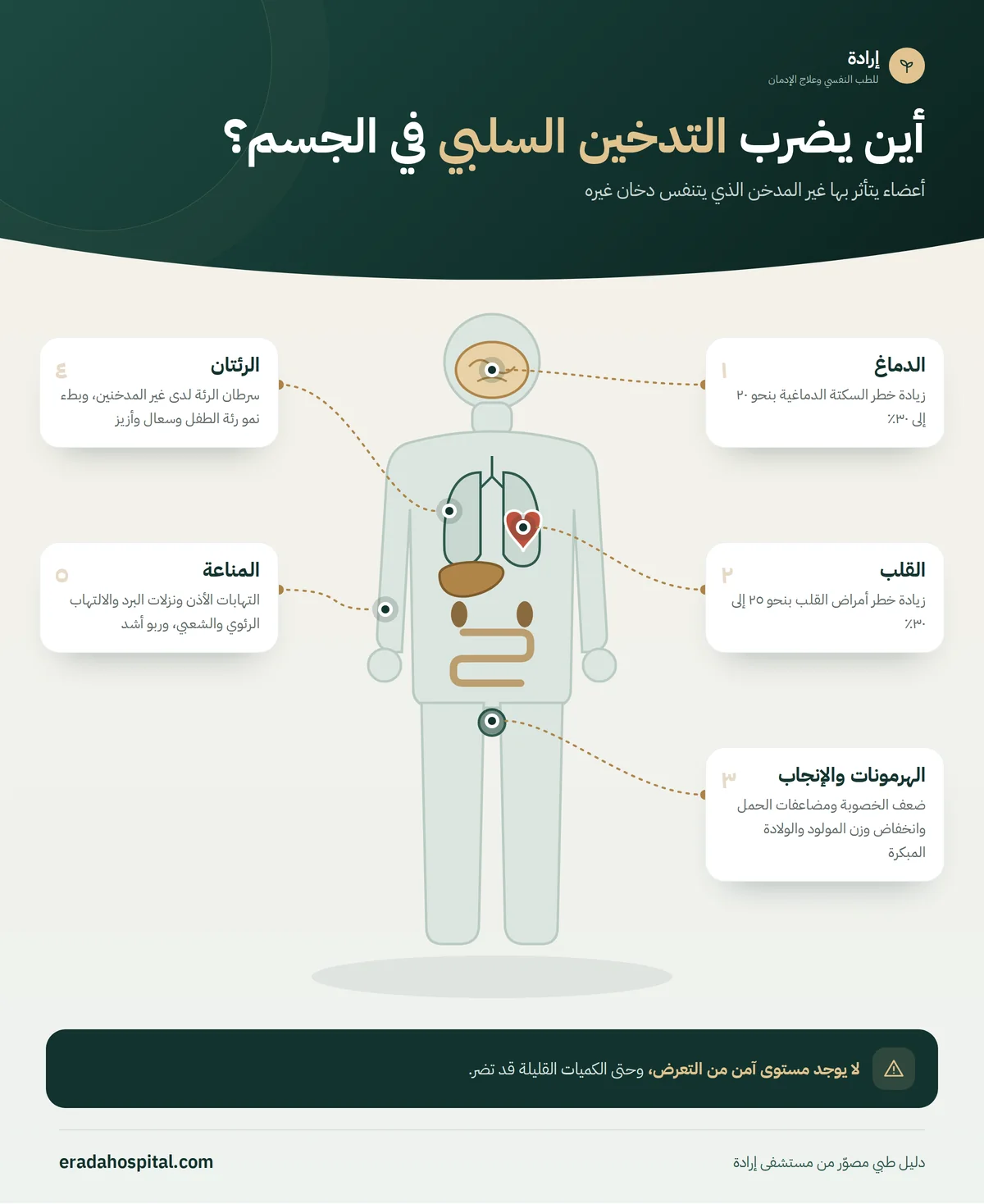 إنفوجرافيك أين يضرب التدخين السلبي في الجسم؟: الرئتان، القلب، الدماغ، المناعة، الهرمونات والإنجاب