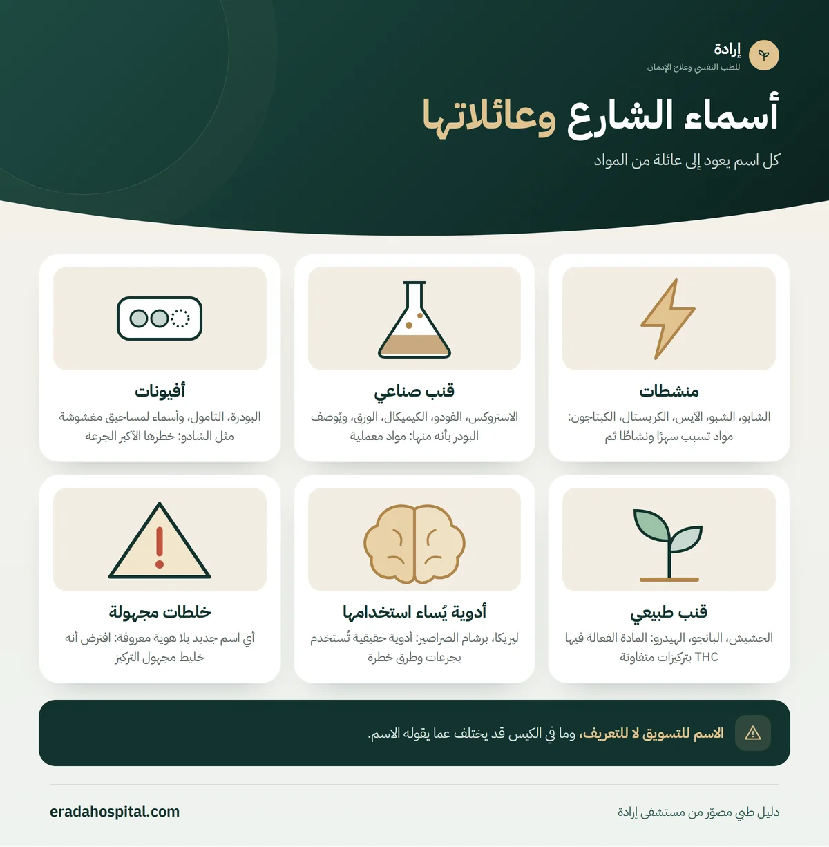 إنفوجرافيك أسماء الشارع وعائلاتها: منشطات، قنب صناعي، أفيونات، قنب طبيعي، أدوية يُساء استخدامها، خلطات مجهولة